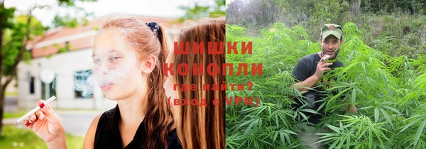 PSILOCYBIN Абаза