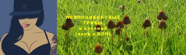 ешки Абдулино